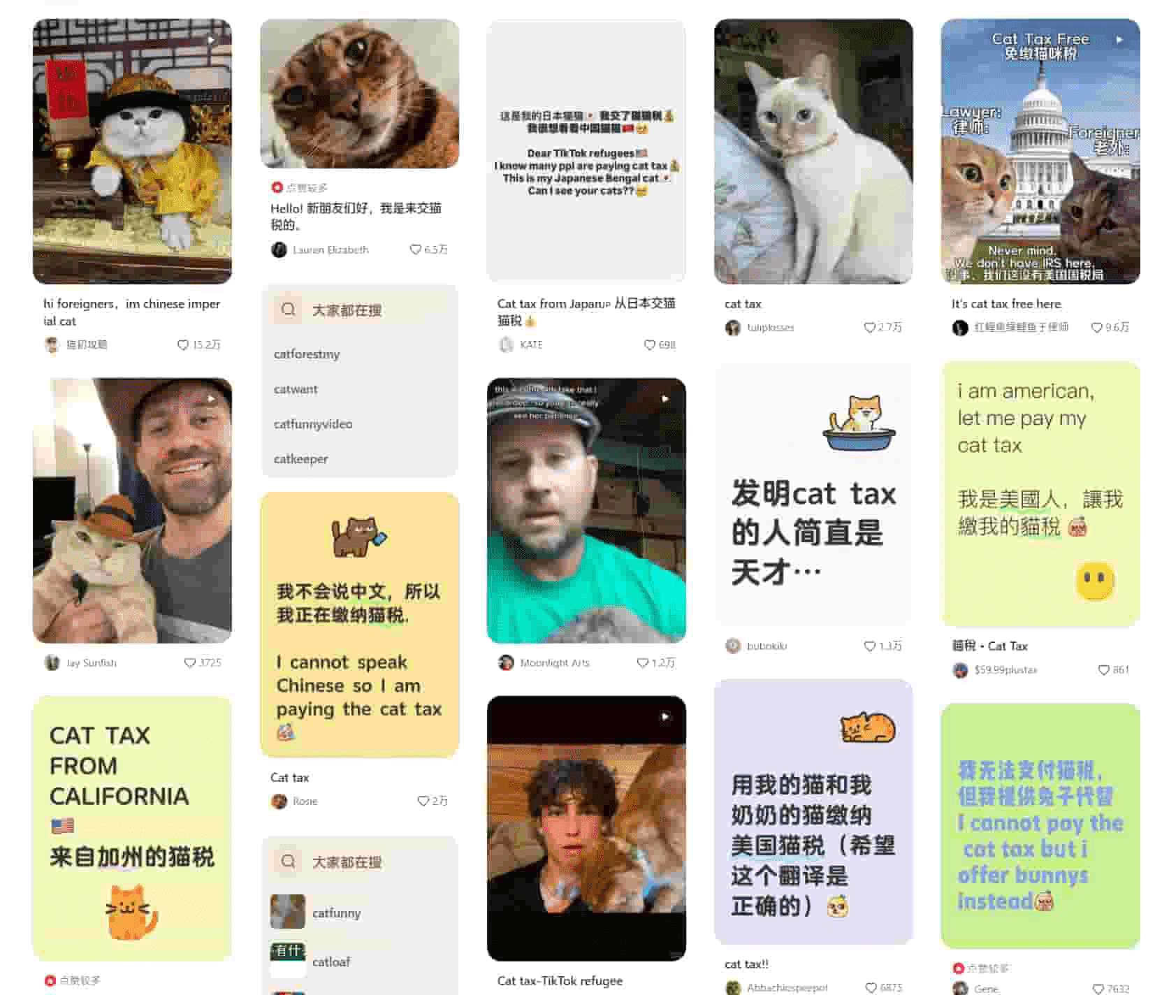 Cattax is a must-do for new users on RedNote(xiaohongshu) app